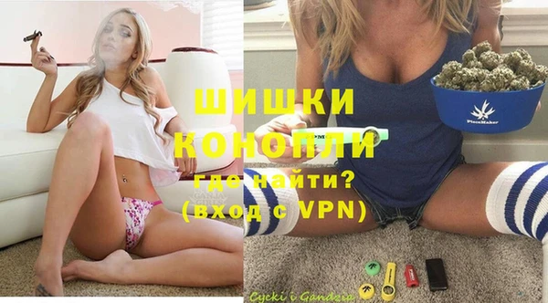крисы Корсаков