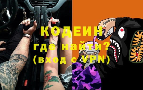 крисы Корсаков