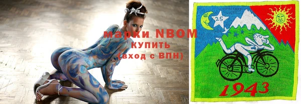трава Коряжма
