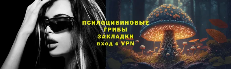 Галлюциногенные грибы Psilocybe  Кондрово 